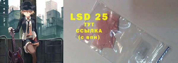 индика Богданович