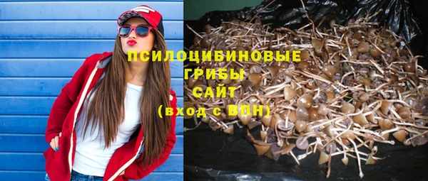 меф Богородицк