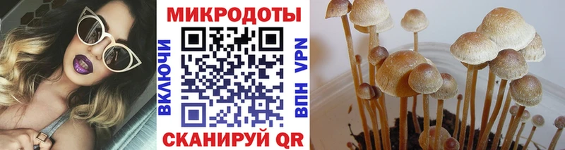 Псилоцибиновые грибы Magic Shrooms где продают Якутск